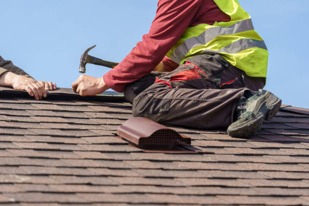 Best Commercial Roofing Services  in Braska City, NE