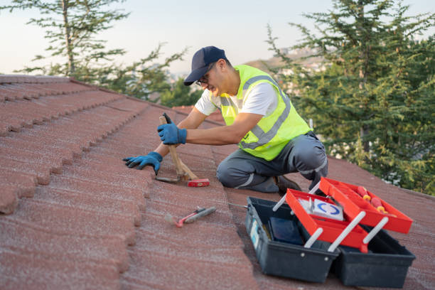 Best Roof Maintenance Services  in Braska City, NE