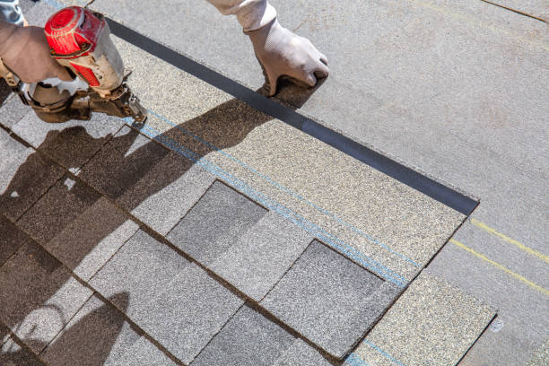 Best Metal Roofing Contractor  in Braska City, NE